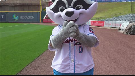Trzsh pandaz mascot